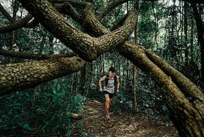 BIB: 
                            <button type="button" onclick="openModal(25664479)" class="btn btn-primary btn-sm float-right btn-popup" data-toggle="modal" data-target=".modal-high-quality">
                        <i class="fas fa-shopping-cart"></i> Add to Cart
                    </button>
                                            <button type="button" onclick="isThisMe(25664479, true)" class="btn btn-success btn-sm float-right btn-popup btn-isme hidden" data-toggle="tooltip" data-placement="bottom" title="นี่คือรูปของคุณใช่ไหม คลิกที่นี่เพื่อเอาเข้าอัลบั้ม">
                        <i class="fas fa-plus"></i> Add to album
                    </button>
                    <button type="button" onclick="isThisMe(25664479, false)" class="btn btn-warning btn-sm float-right btn-popup btn-isnotme hidden">
                        <i class="fas fa-ban"></i> Remove from album
                    </button>